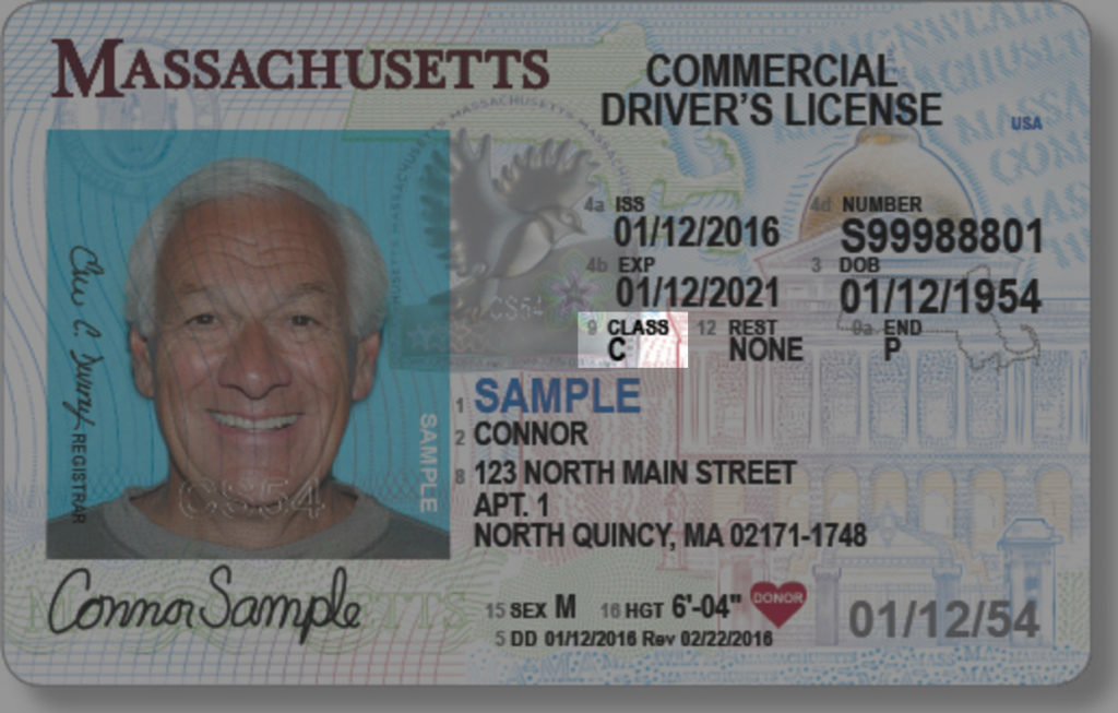 Massachusetts Driver License